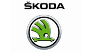 Компьютерная диагностика всех автомобилей марки Skoda